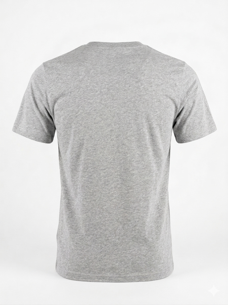 The North Face T-Shirt – Grey